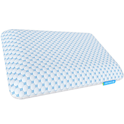 2.75" Low Profile Memory Foam Pillow