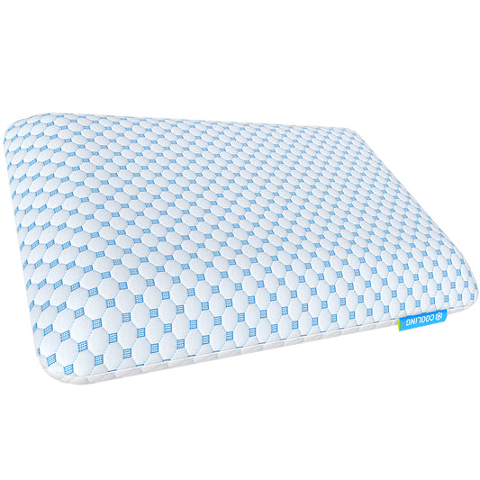 2.75" Low Profile Memory Foam Pillow